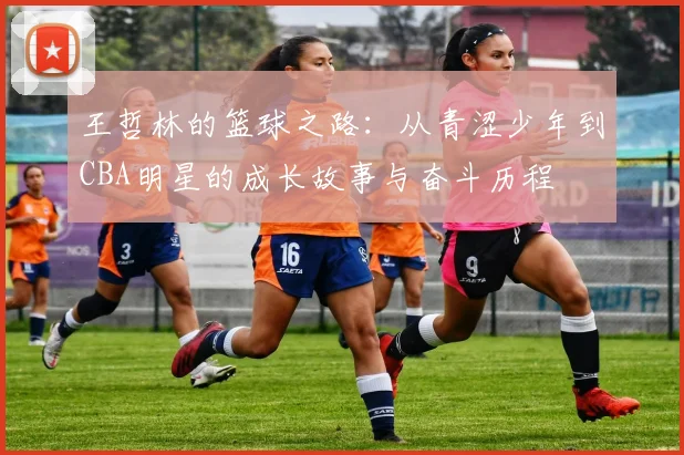 王哲林的篮球之路：从青涩少年到CBA明星的成长故事与奋斗历程