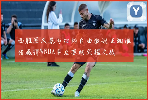 西雅图风暴与纽约自由激战正酣谁将赢得WNBA季后赛的荣耀之战