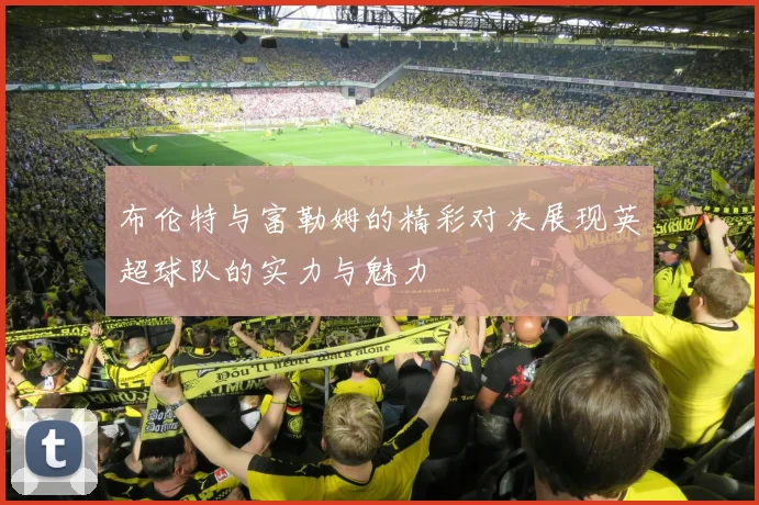 布伦特与富勒姆的精彩对决展现英超球队的实力与魅力