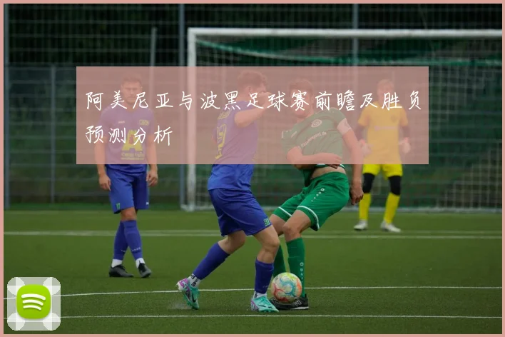 阿美尼亚与波黑足球赛前瞻及胜负预测分析
