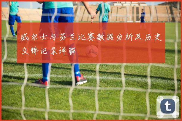 威尔士与芬兰比赛数据分析及历史交锋记录详解