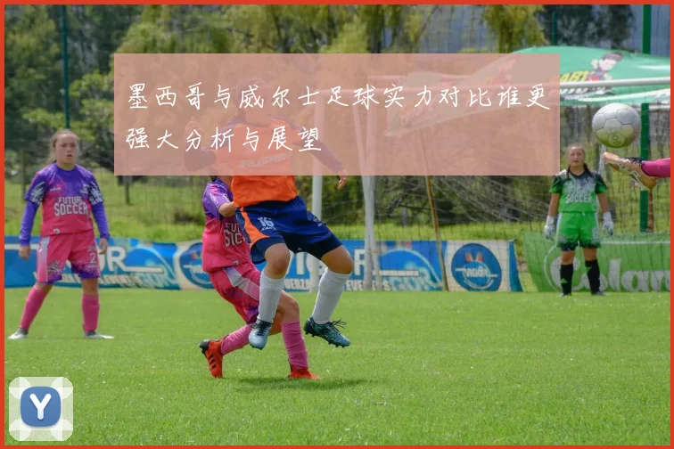 墨西哥与威尔士足球实力对比谁更强大分析与展望