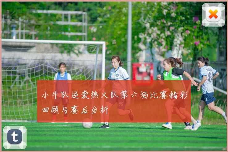 小牛队逆袭热火队第六场比赛精彩回顾与赛后分析