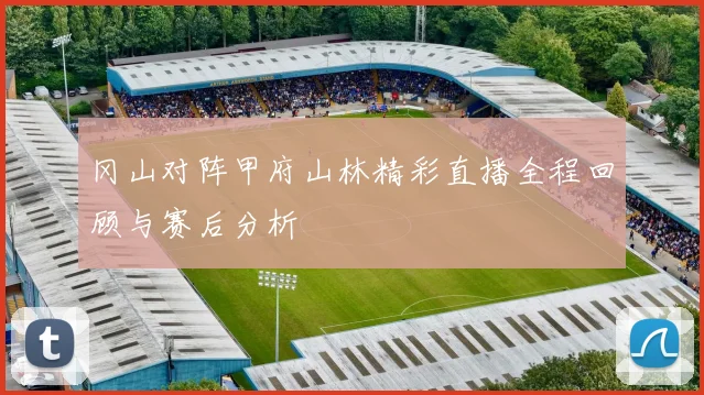 冈山对阵甲府山林精彩直播全程回顾与赛后分析