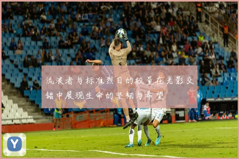 流浪者与标准烈日的较量在光影交错中展现生命的坚韧与希望