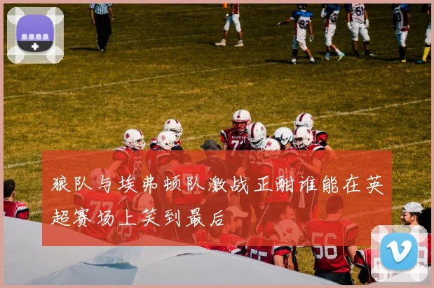 狼队与埃弗顿队激战正酣谁能在英超赛场上笑到最后