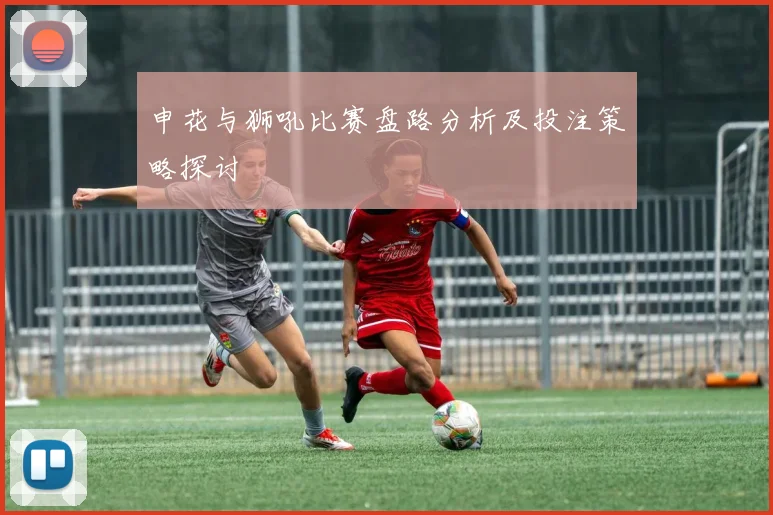 申花与狮吼比赛盘路分析及投注策略探讨