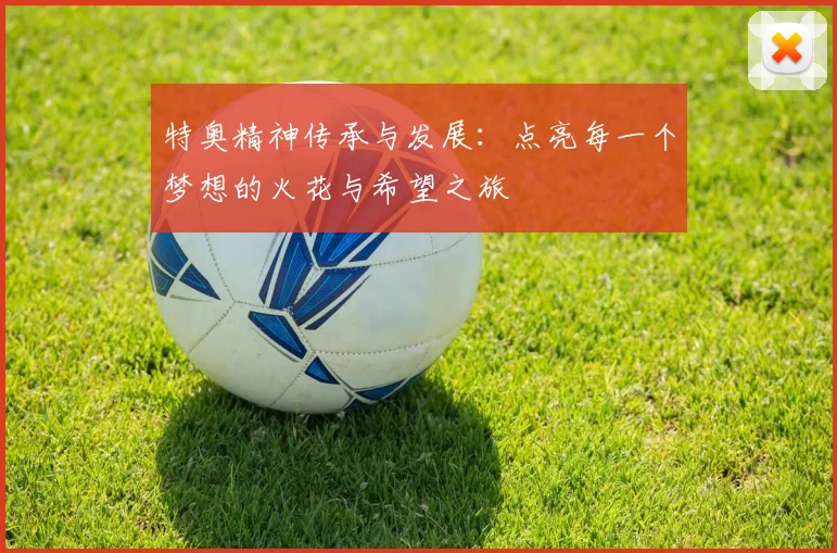 特奥精神传承与发展：点亮每一个梦想的火花与希望之旅