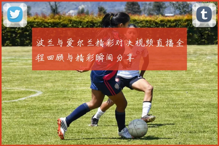 波兰与爱尔兰精彩对决视频直播全程回顾与精彩瞬间分享