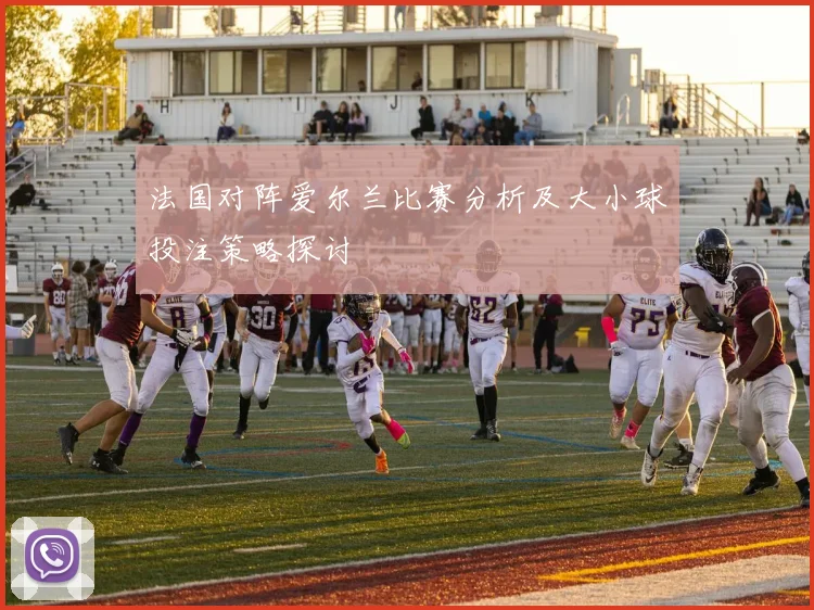 法国对阵爱尔兰比赛分析及大小球投注策略探讨