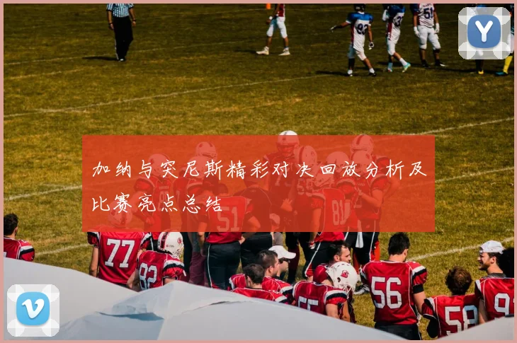 加纳与突尼斯精彩对决回放分析及比赛亮点总结